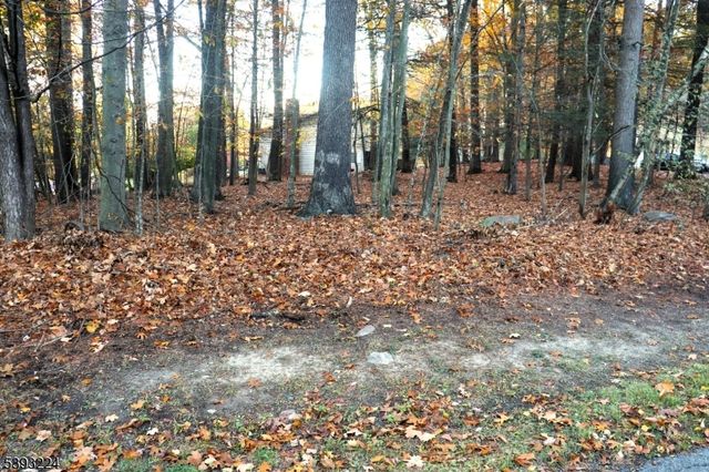 241 Old Chimney Ridge Road, Montague Twp., NJ 07827