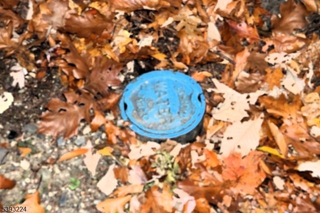 241 Old Chimney Ridge Road, Montague Twp., NJ 07827