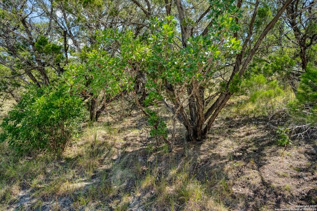 305 Spanish Pass, Boerne, TX 78006