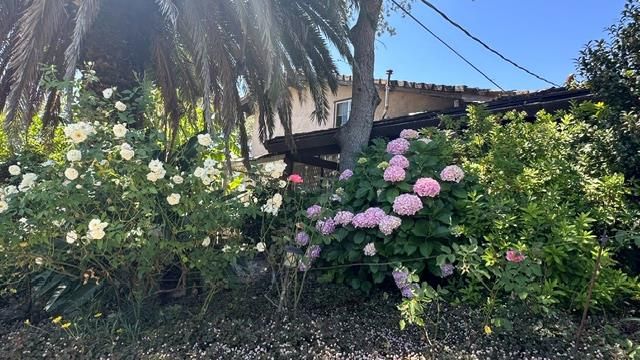 4120 Godley Rd, Lincoln, CA 95648