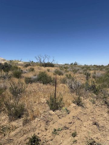 Boulder Vista Drive G,4, Aguanga, CA 92536