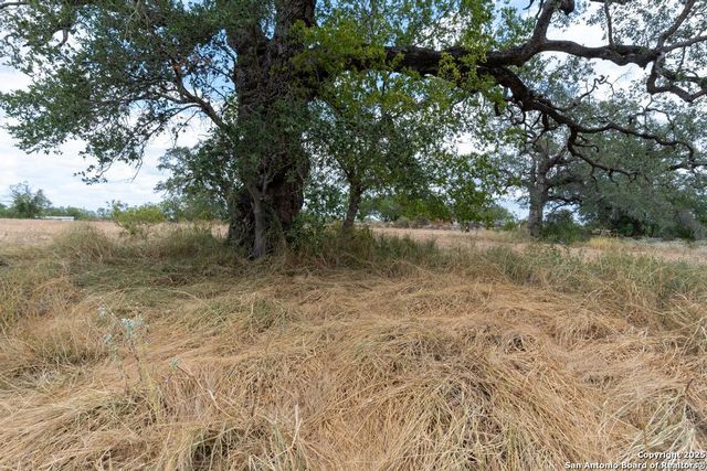 5425 Lone Oak, Adkins, TX 78101
