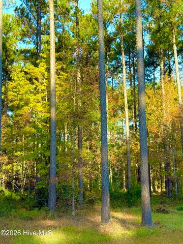 219 Ocracoke Drive, Oriental, NC 28571