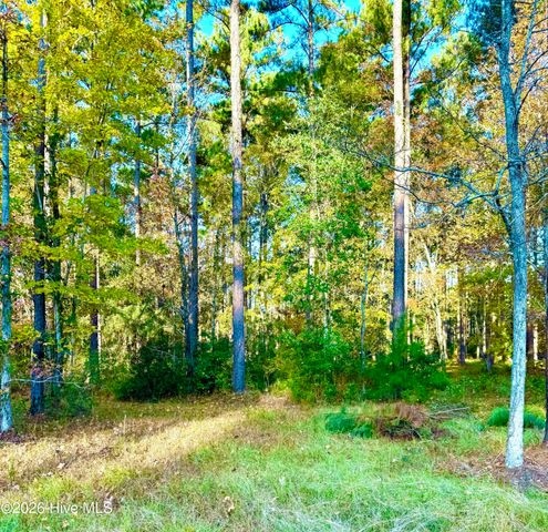 219 Ocracoke Drive, Oriental, NC 28571