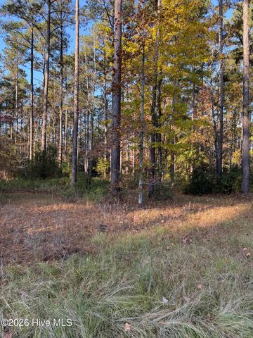 219 Ocracoke Drive, Oriental, NC 28571