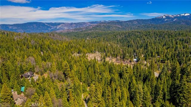 1163 Silver Tip, Fish Camp, CA 93623