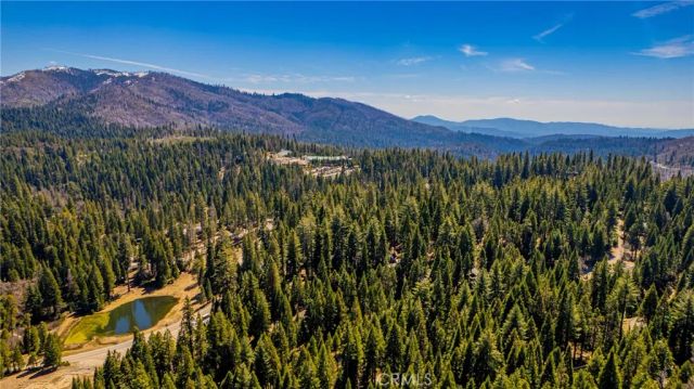 1163 Silver Tip, Fish Camp, CA 93623