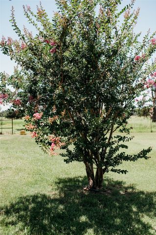 408 County Road 2200, Ivanhoe, TX 75447