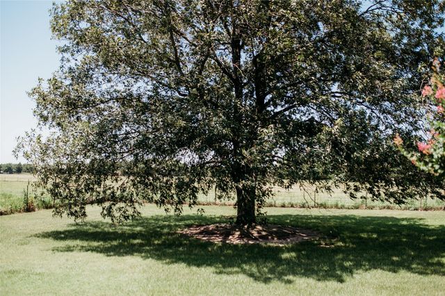 408 County Road 2200, Ivanhoe, TX 75447