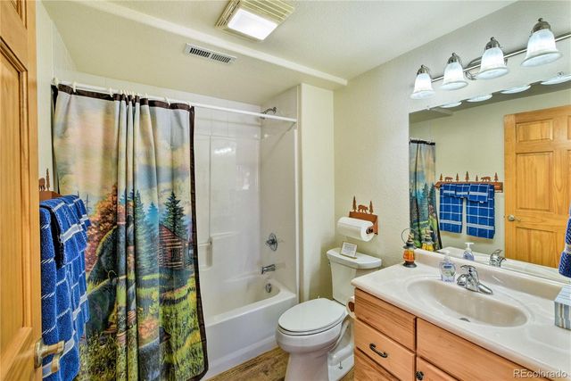 423 Wagon Wheel Road, Hartsel, CO 80449