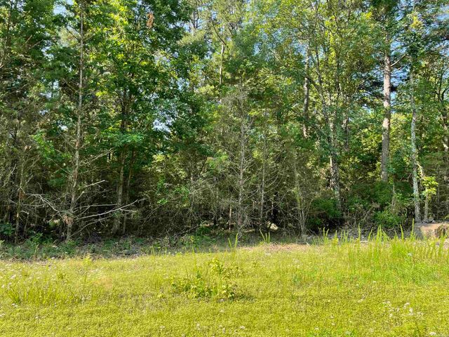 Lot 3 Pleasant Ridge Road, Greers Ferry, AR 72067