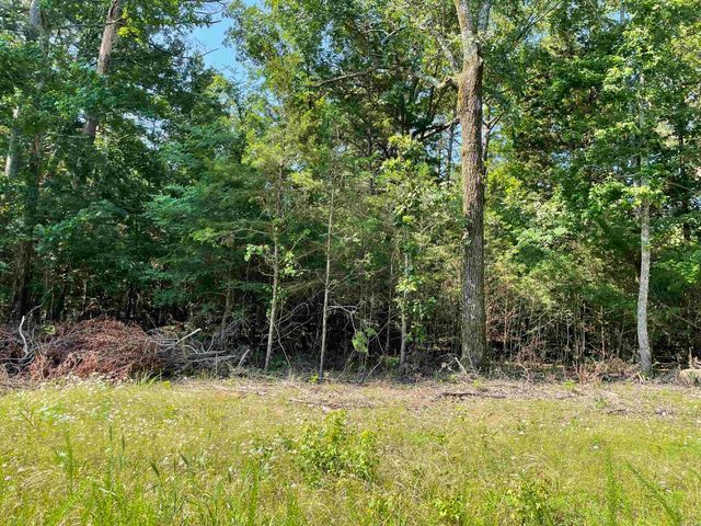 Lot 3 Pleasant Ridge Road, Greers Ferry, AR 72067