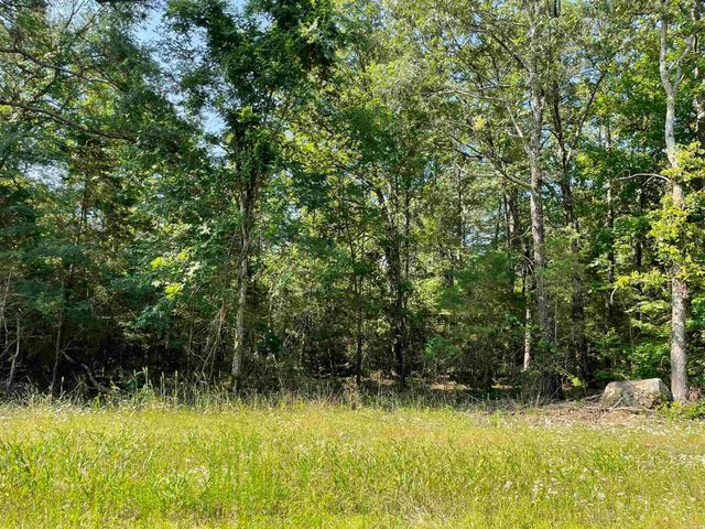 Lot 3 Pleasant Ridge Road, Greers Ferry, AR 72067