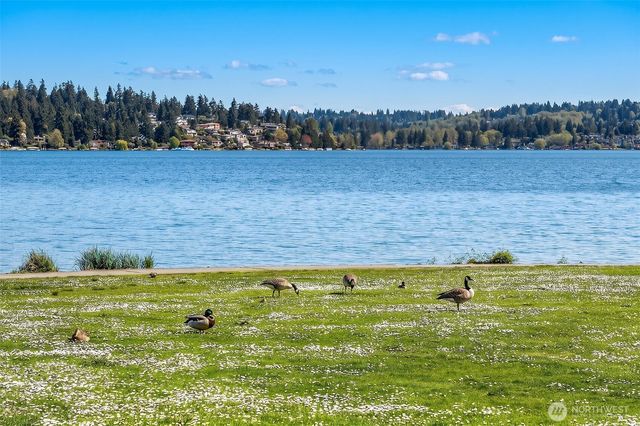 3834 NE 86th Street, Seattle, WA 98115