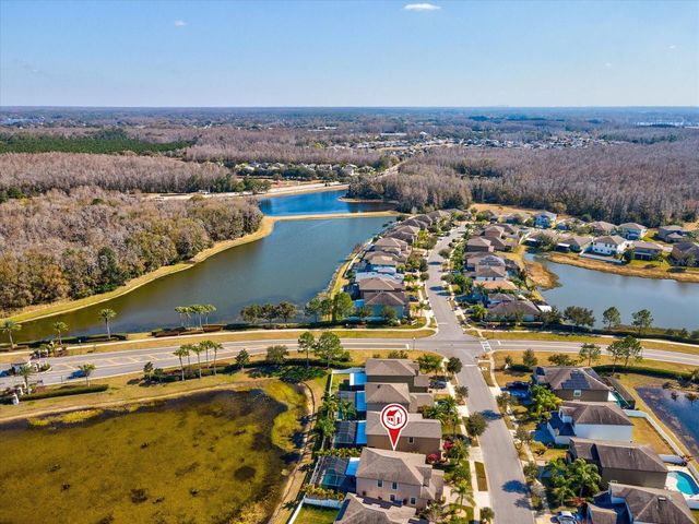 1716 HADDEN HALL PLACE, Trinity, FL 34655