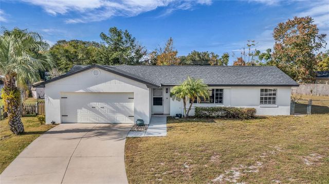 685 OLEANDER STREET, Mount Dora, FL 32757