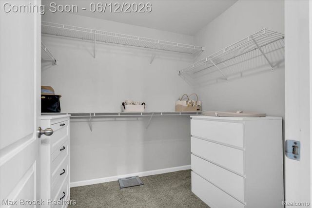 54265 Birchwood Drive, Lyon Charter Township, MI 48178