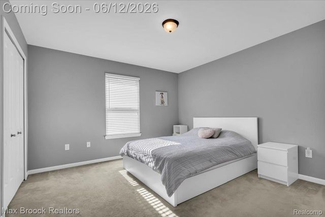 54265 Birchwood Drive, Lyon Charter Township, MI 48178