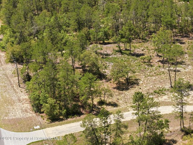 13183 Haven Lot 1 Trail, Weeki Wachee, FL 34614