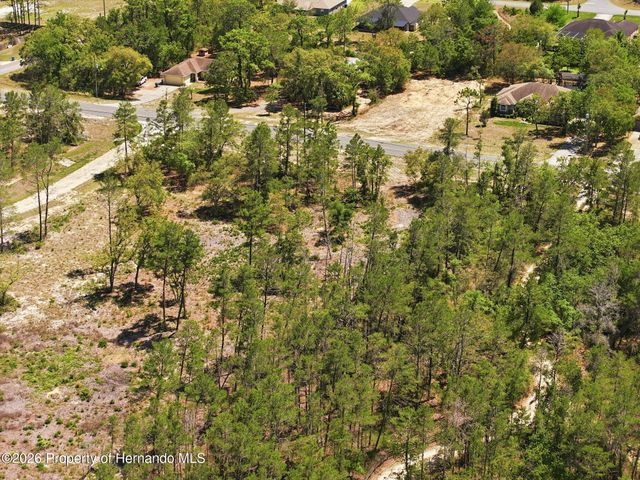 13183 Haven Lot 1 Trail, Weeki Wachee, FL 34614