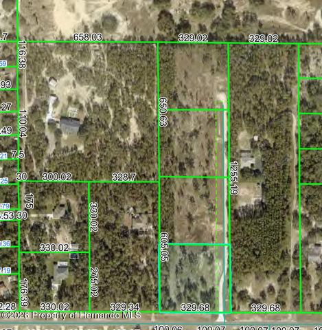 13183 Haven Lot 1 Trail, Weeki Wachee, FL 34614