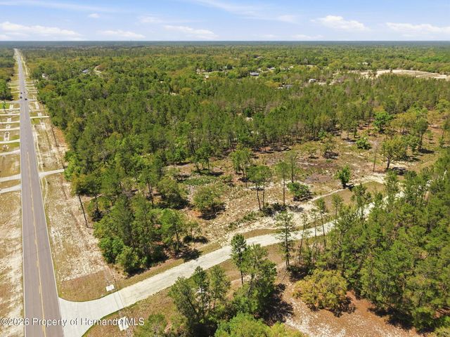 13183 Haven Lot 1 Trail, Weeki Wachee, FL 34614