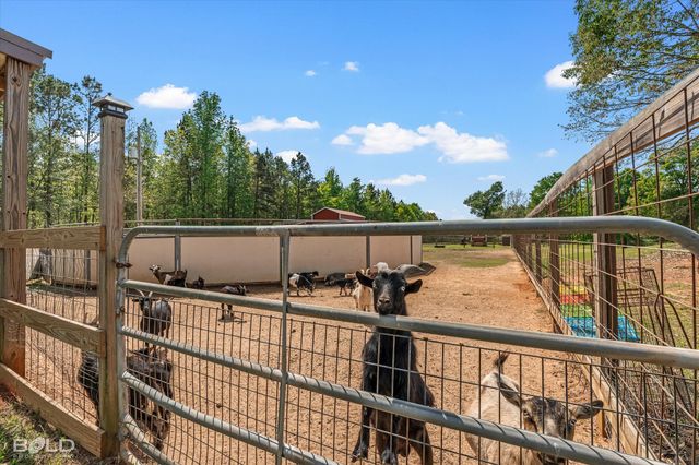 13870 Highway 157, Haughton, LA 71037