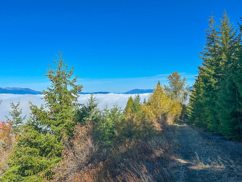 Nhn Pats Knob Road, Plains, MT 59859 photo 10