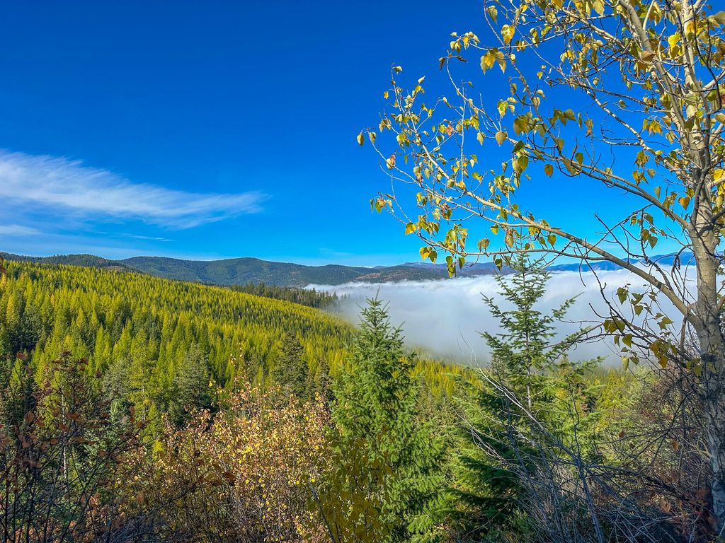 Nhn Pats Knob Road, Plains, MT 59859 photo 11