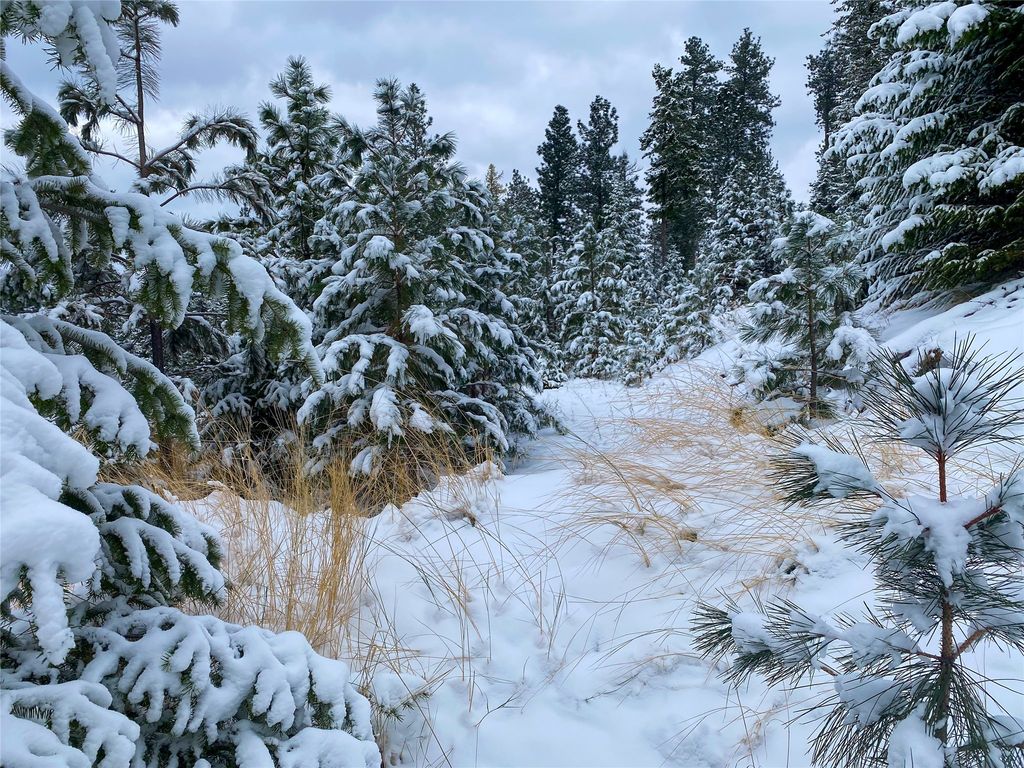 Nhn Pats Knob Road, Plains, MT 59859 photo 15
