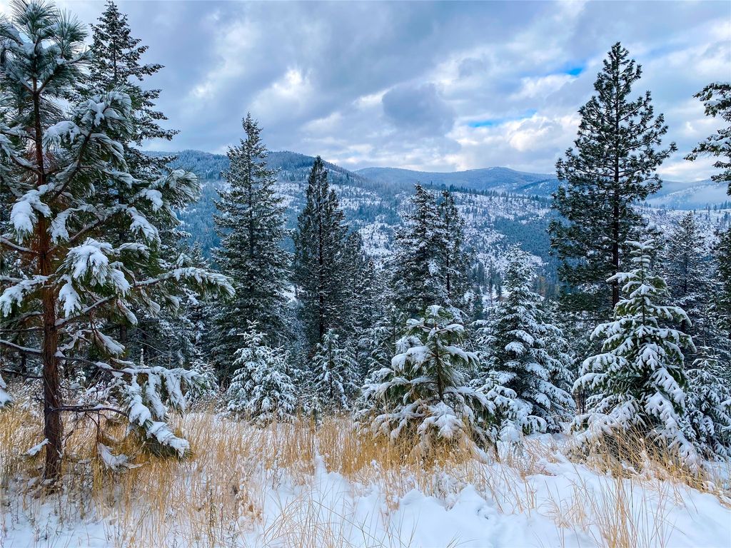 Nhn Pats Knob Road, Plains, MT 59859 photo 16