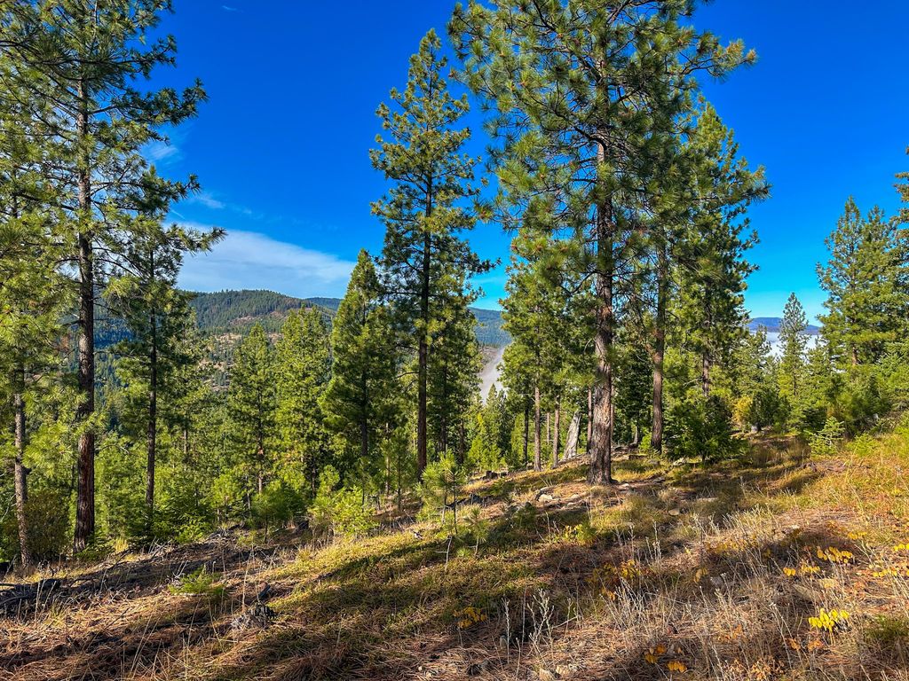 Nhn Pats Knob Road, Plains, MT 59859 photo 2