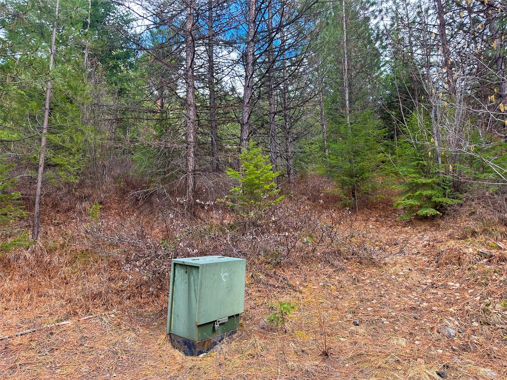 Nhn Pats Knob Road, Plains, MT 59859 photo 22