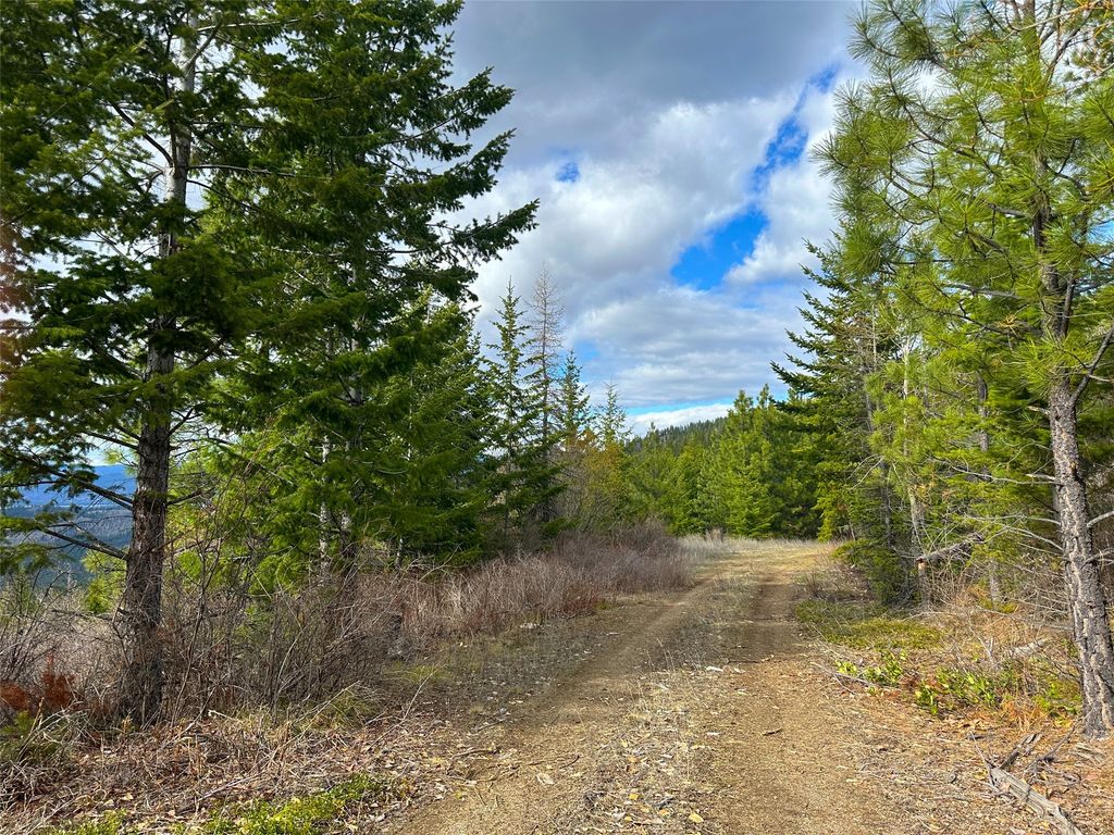 Nhn Pats Knob Road, Plains, MT 59859 photo 26