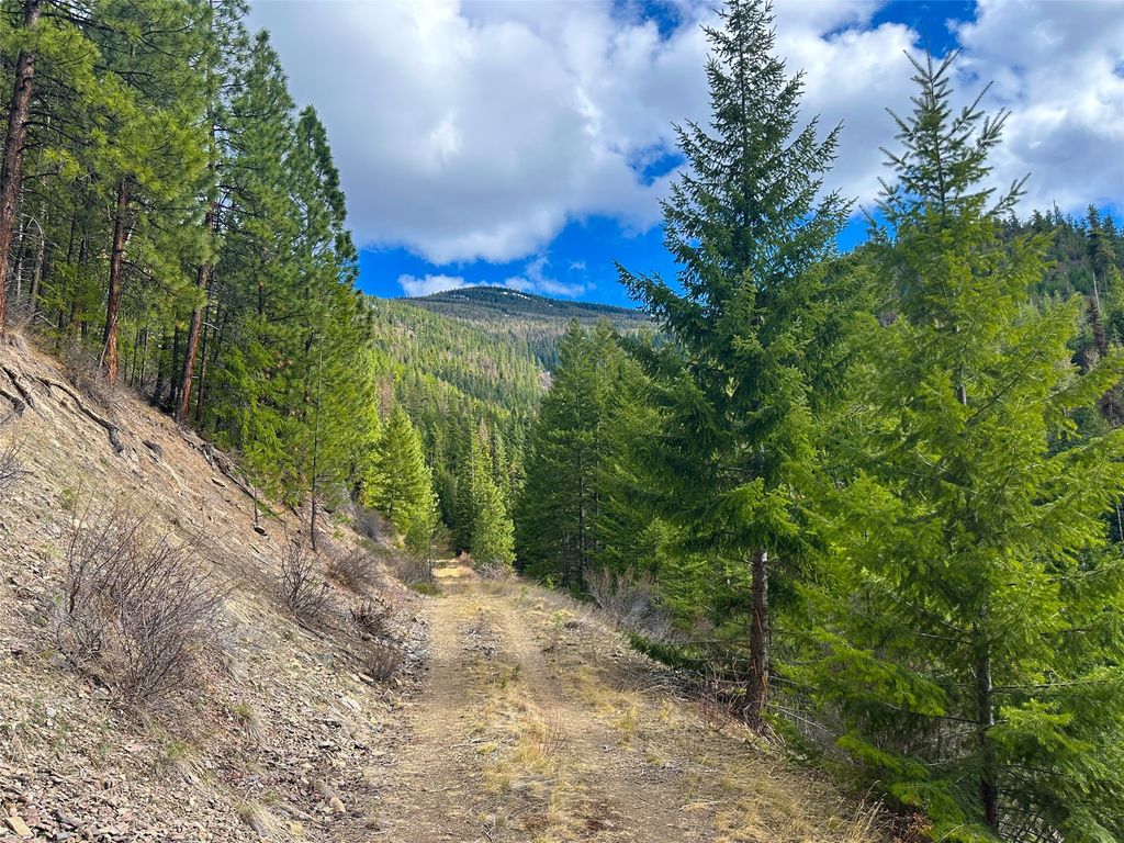 Nhn Pats Knob Road, Plains, MT 59859 photo 27