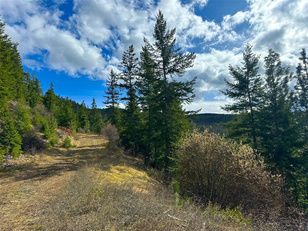 Nhn Pats Knob Road, Plains, MT 59859 photo 28