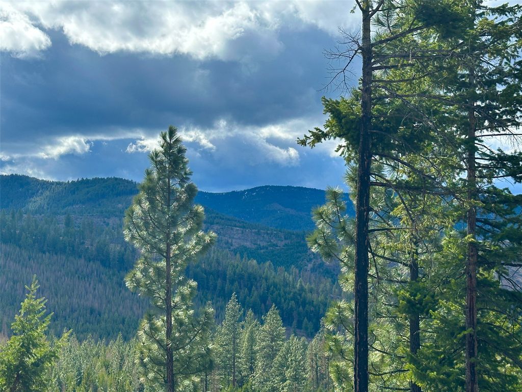 Nhn Pats Knob Road, Plains, MT 59859 photo 29
