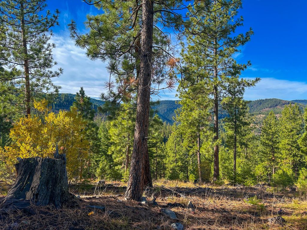 Nhn Pats Knob Road, Plains, MT 59859 photo 3