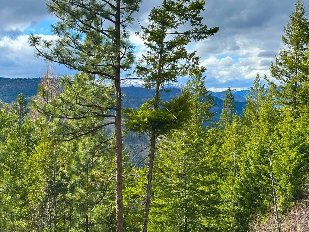 Nhn Pats Knob Road, Plains, MT 59859 photo 30