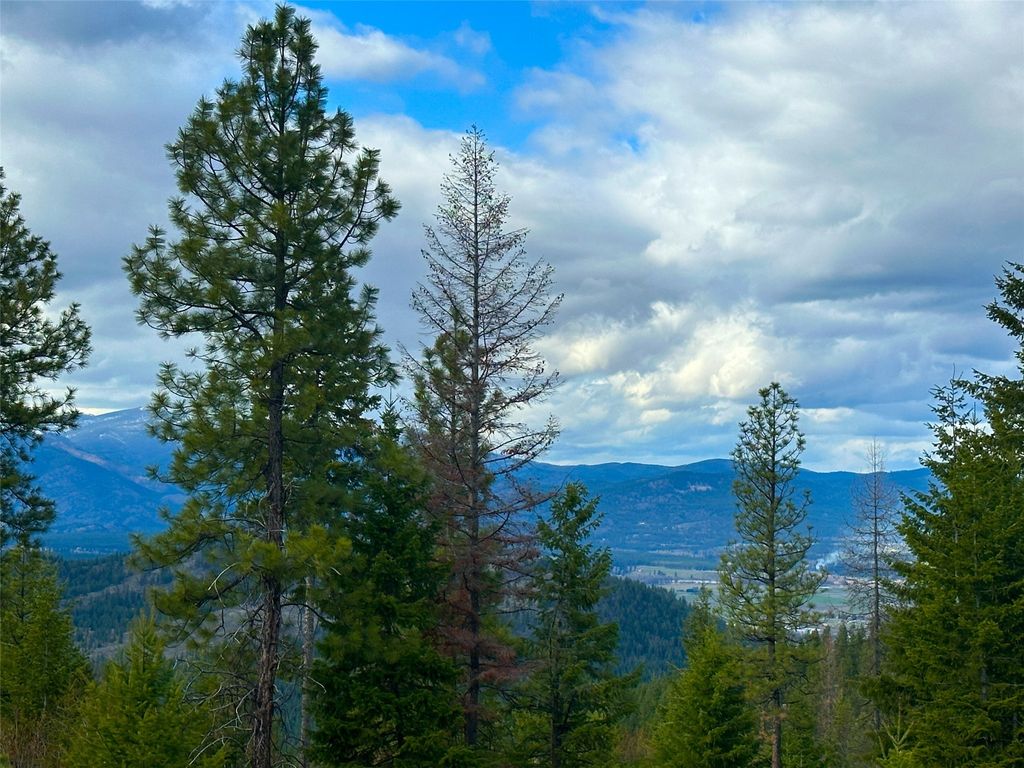 Nhn Pats Knob Road, Plains, MT 59859 photo 31