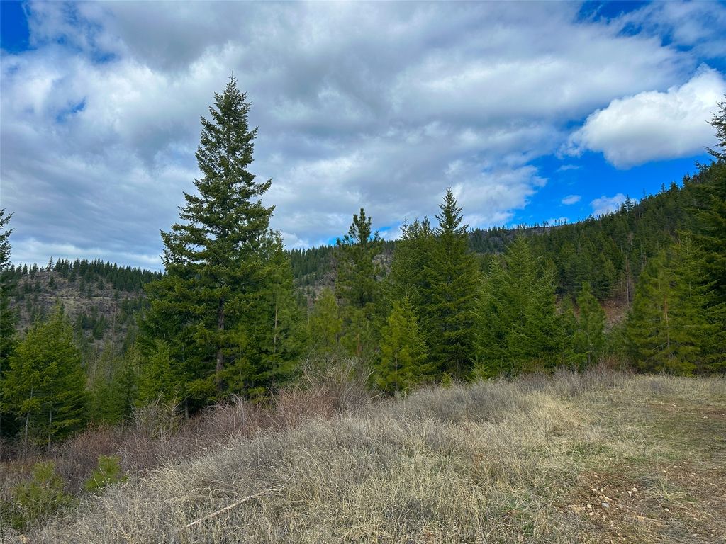 Nhn Pats Knob Road, Plains, MT 59859 photo 32