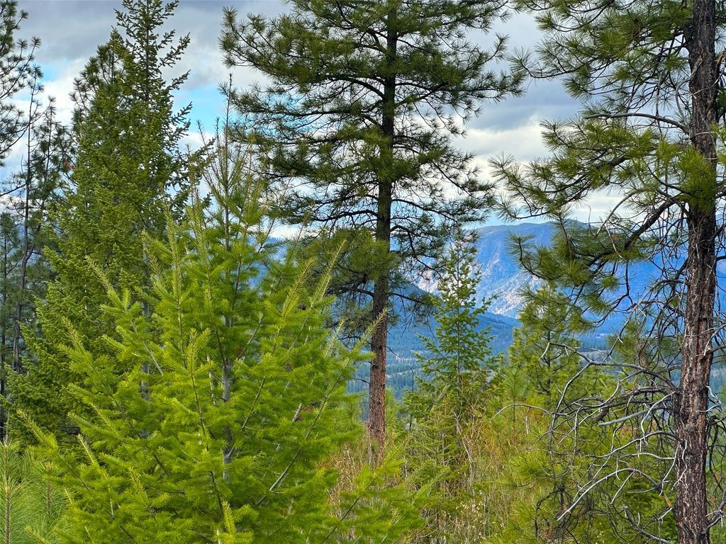 Nhn Pats Knob Road, Plains, MT 59859 photo 33