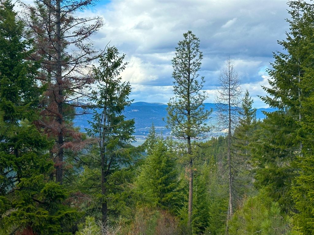 Nhn Pats Knob Road, Plains, MT 59859 photo 34