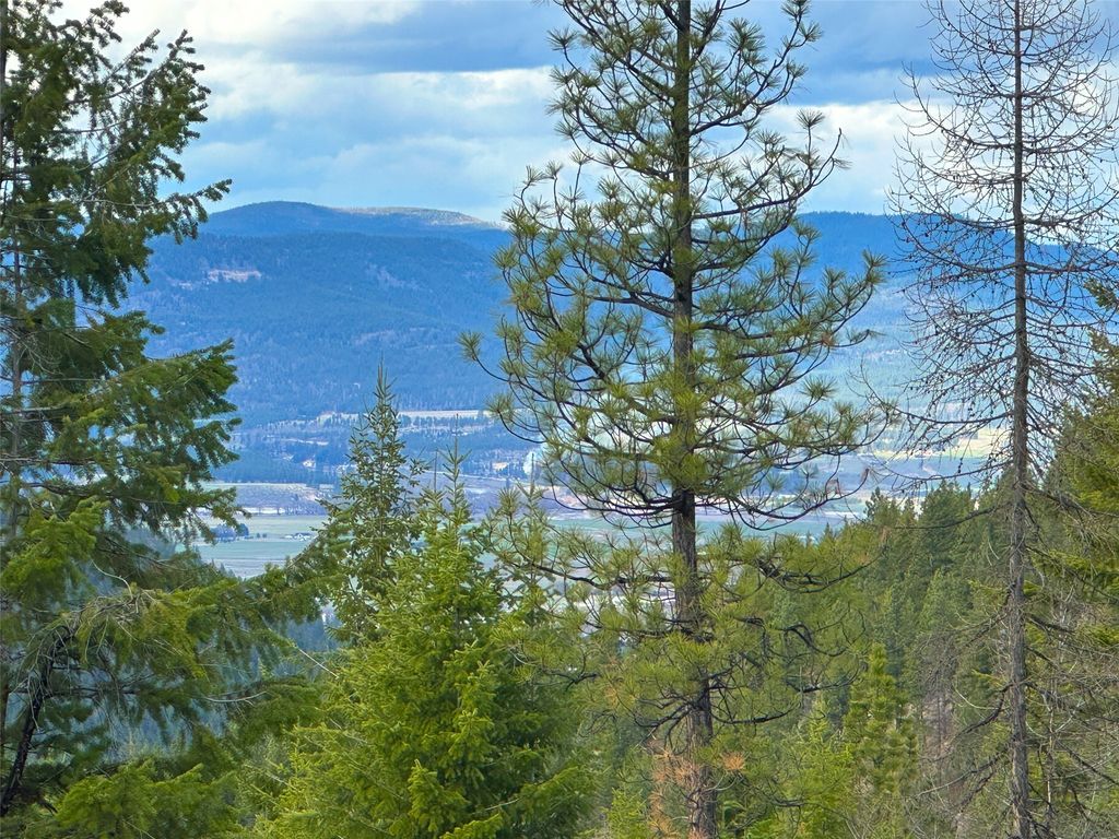 Nhn Pats Knob Road, Plains, MT 59859 photo 35