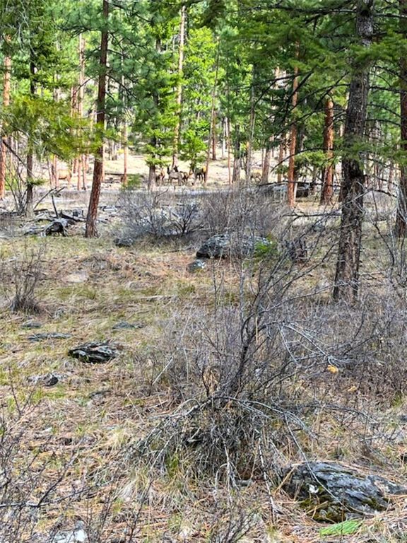 Nhn Pats Knob Road, Plains, MT 59859 photo 38