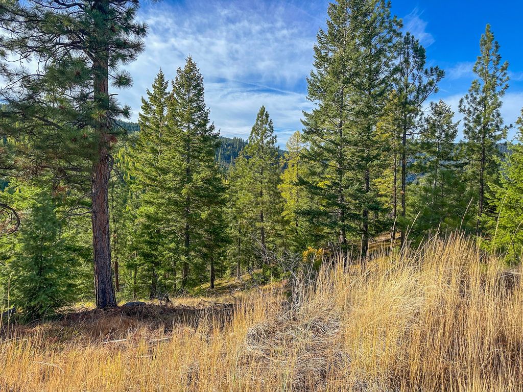 Nhn Pats Knob Road, Plains, MT 59859 photo 5