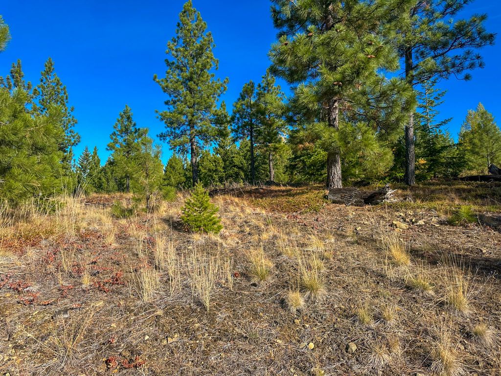 Nhn Pats Knob Road, Plains, MT 59859 photo 7