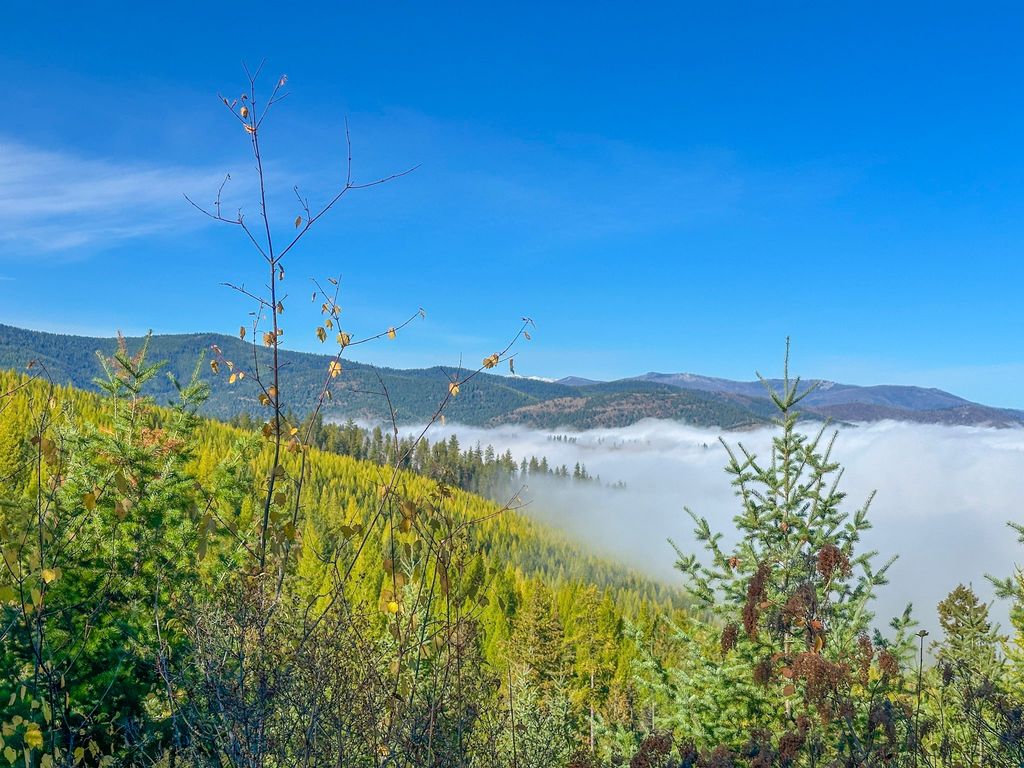 Nhn Pats Knob Road, Plains, MT 59859 photo 9