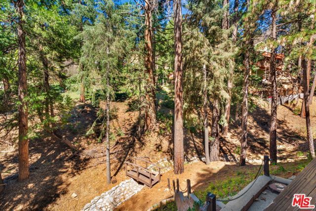 2378 Rim Of The World Drive, Running Springs, CA 92382