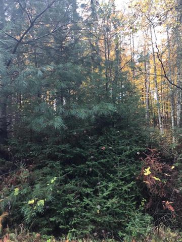 W6150 STEFFEN LANE, Pembine, WI 54156